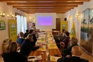 Formazione, seminari e viaggi studio