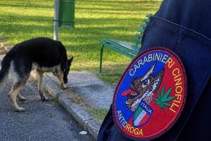 Col cane antidroga a caccia di "canne", beccati in due