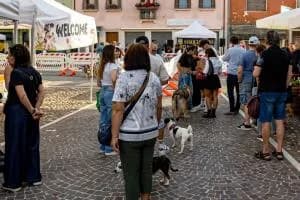 Una piazza che scodinzola
