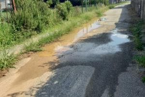 Perdita d’acqua in via Amolaretta