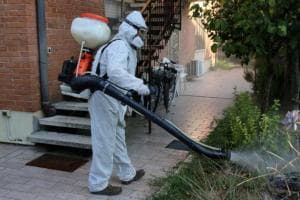Zanzare infette, scatta la verifica