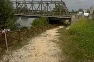 Via le sterpaglie lungo l’argine dell’Adige