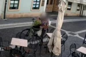 Ruba la pianta, ripresa dai video