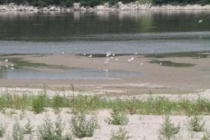 Con la siccità arrivano i "ladri d'acqua"