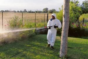Allarme West Nile, paziente ricoverato
