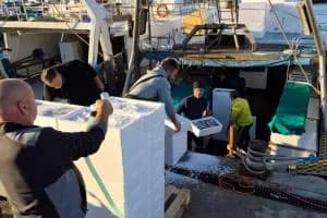Quasi 7 milioni in arrivo per le imprese