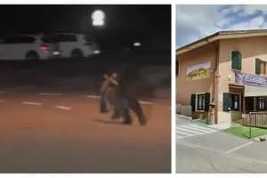 Orso nella notte, passa davanti all’hotel
