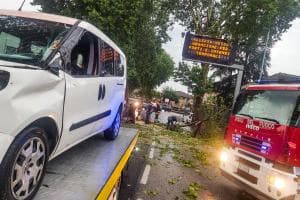 Albero su un furgone, scatta l'emergenza