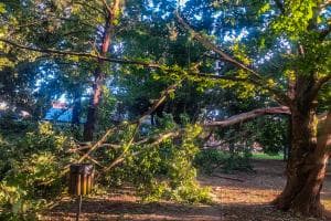 Disastro al Parco Iras: "Lo chiudiamo"
