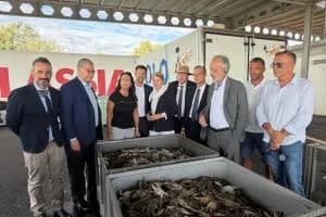 Le lagune chiedono aiuto all’Europa