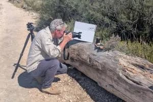 Il grande fotografo del rock s'innamora delle nostre api