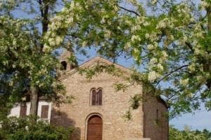 Torna il “Festival della Quercia”