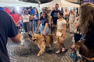 Il pet-show e il teatro... Adria d'Estate fa centro!