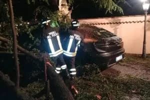 Alberi caduti e tetti danneggiati: dopo la grandine si contano i danni