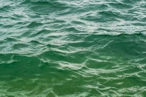 Mare verde a Jesolo, nessun allarme