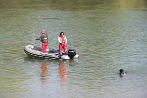 Si tuffa nel Brenta per sfuggire dal caldo e non riemerge