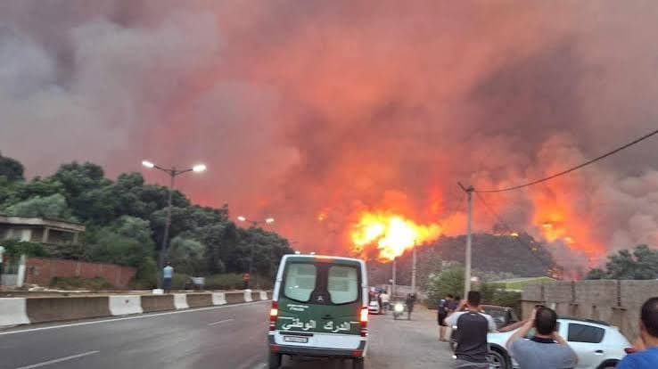 Algeria, incendi catastrofici: almeno 69 vittime e molti feriti