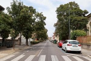 “Nuovi alberi, un valore aggiunto”