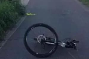 Cinghiale sulla strada, ciclista a terra
