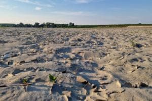 Siccità estrema e caldo record